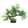 HUGO KAMISHI BONSAI MINI SPIDER 23CM